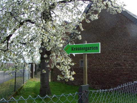 Folgen Sie dem Duft zum Kräutergarten